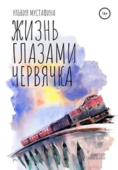 Ульвия Мустафина - Жизнь глазами червячка
