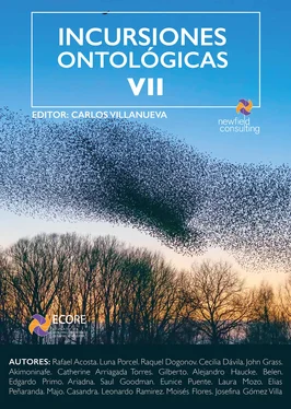 Varios autores Incursiones ontológicas VII обложка книги