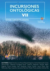 Varios autores - Incursiones ontológicas VII