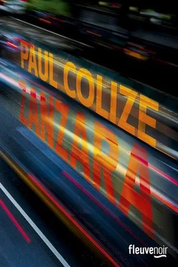 Paul Colize Zanzara обложка книги