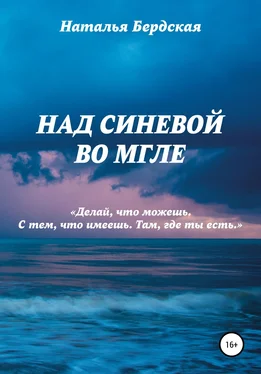 Наталья Бердская Над синевой во мгле обложка книги