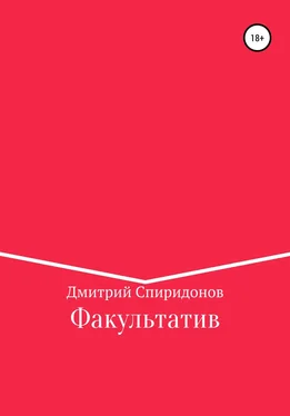 Дмитрий Спиридонов Факультатив обложка книги