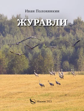 Иван Полонянкин Журавли обложка книги