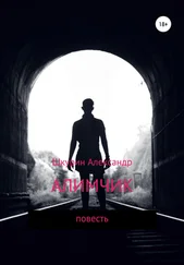 Александр Шкурин - Алимчик