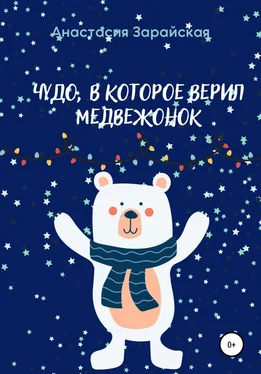 Анастасия Зарайская Чудо, в которое верил медвежонок обложка книги