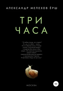 Александр Мелехов ёрш Три часа обложка книги