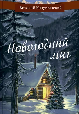Виталий Капустянский Новогодний миг обложка книги