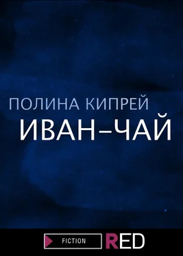 Полина Кипрей Иван-чай обложка книги