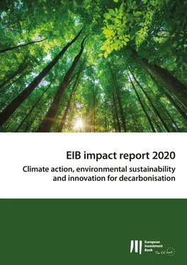 Неизвестный Автор EIB Impact Report 2020 обложка книги