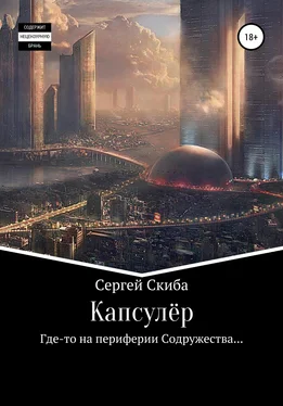 Сергей Скиба Капсулёр обложка книги