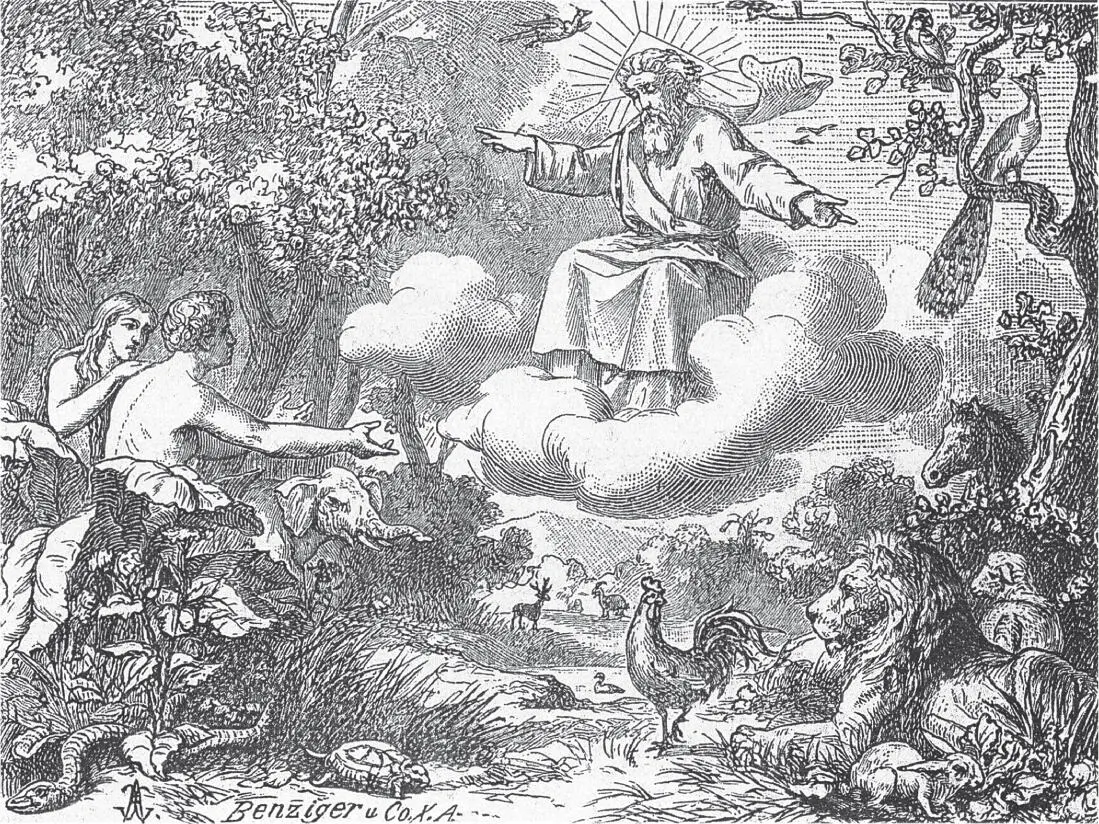 Die biblische Schöpfungsgeschichte dargestellt in alten Schulbibeln Begleitet - фото 3
