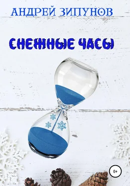 Андрей Зипунов Снежные Часы обложка книги