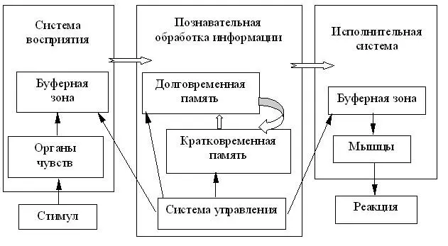 Рис1 1 Система обработки информации у человека Долговременная память В - фото 1