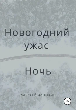 Алексей Ханыкин Новогодний ужас. Ночь обложка книги