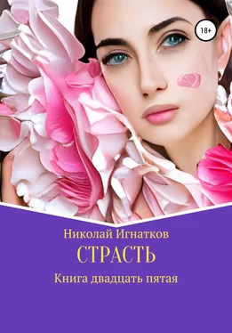 Николай Игнатков Страсть. Книга двадцать пятая обложка книги