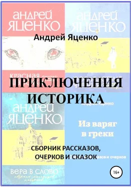 Андрей Яценко Приключения историка обложка книги