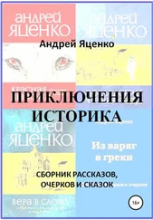 Андрей Яценко - Приключения историка