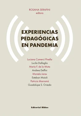 Rosana Serafini Experiencias pedagógicas en pandemia обложка книги