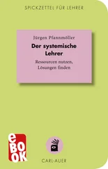 Jürgen Pfannmöller - Der systemische Lehrer