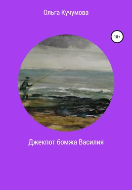 Ольга Кучумова Джекпот бомжа Василия обложка книги