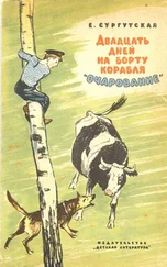 Екатерина Сургутская - Двадцать дней на борту корабля Очарование