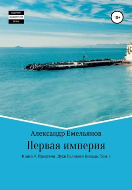 Александр Емельянов Первая империя. Книга 9. Предтечи: Духи Великого Кольца. Том 1 обложка книги