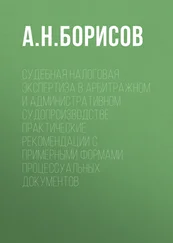 Александр Борисов - Судебная налоговая экспертиза в арбитражном и административном судопроизводстве. Практические рекомендации с примерными формами процессуальных документов