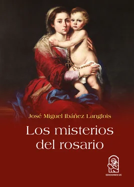 José Miguel Ibáñez Langlois Los misterios del rosario обложка книги