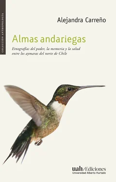 Alejandra Carreño Almas andariegas обложка книги