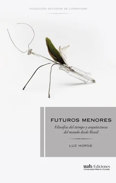 Luz Horne Futuros menores обложка книги