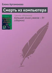 Елена Артамонова - Смерть из компьютера