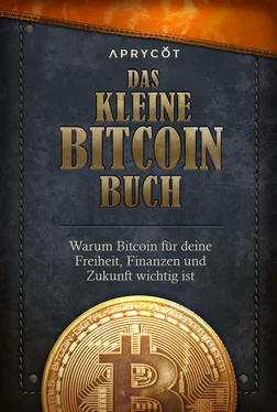 Lily Liu Das kleine Bitcoin-Buch обложка книги