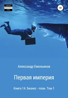 Александр Емельянов Первая империя. Книга 14. Бизнес-план. Том 1 обложка книги