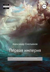 Александр Емельянов - Первая империя. Книга 1. Том 6. Наследник короны Российской Империи