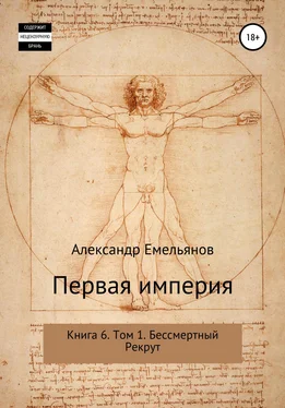 Александр Емельянов Первая империя. Книга 6. Том 1. Бессмертный Рекрут обложка книги