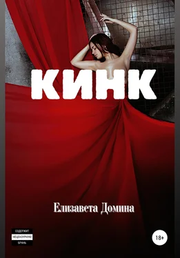 Елизавета Домина Кинк обложка книги