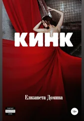 Елизавета Домина - Кинк