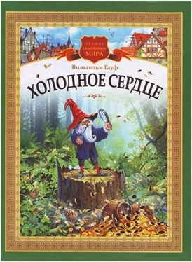 Вильгельм Гауф Холодное сердце (другой перевод) обложка книги