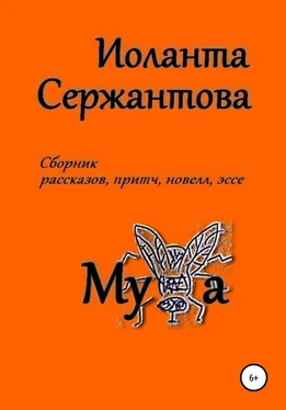 Иоланта Сержантова Муха обложка книги