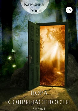 Катерина Анн Пора сопричастности. Часть 1 обложка книги