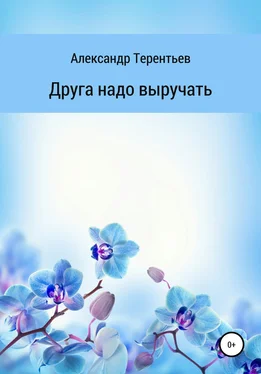 Александр Терентьев Друга надо выручать обложка книги