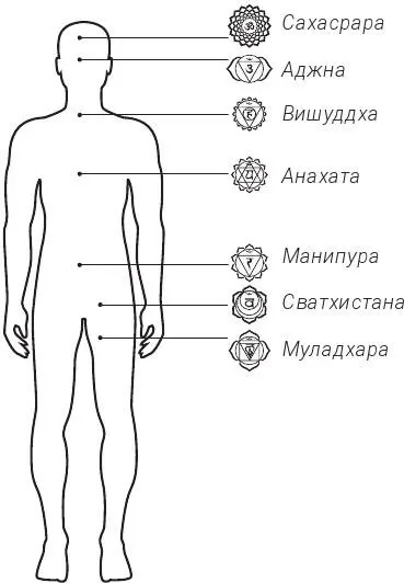 Мысленно встроить короткий ствол руны в Вишудхучакру левый ствол в - фото 10