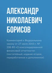 Александр Борисов - Комментарий к Федеральному закону от 27 июля 2010 г. № 208-ФЗ «О консолидированной финансовой отчетности» (постатейный; издание второе, переработанное и дополненное)