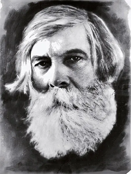 Владимир Михайлович Бехтерев 1857 1927 Глава первая Так распорядилась - фото 1