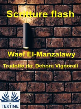 Wael El-Manzalawy Scritture Flash обложка книги