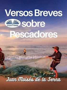 Juan Moisés De La Serna Versos Breves Sobre Pescadores обложка книги