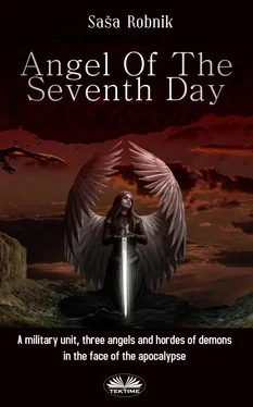Saša Robnik Angel Of The Seventh Day обложка книги