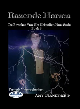 Amy Blankenship Razende Harten обложка книги