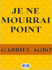 Gabriel Agbo - Je Ne Mourrai Point
