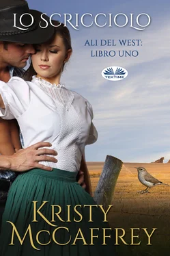 Kristy McCaffrey Lo Scricciolo обложка книги